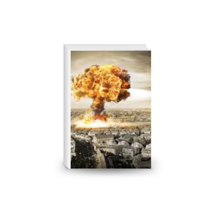 Effects of Nuclear War