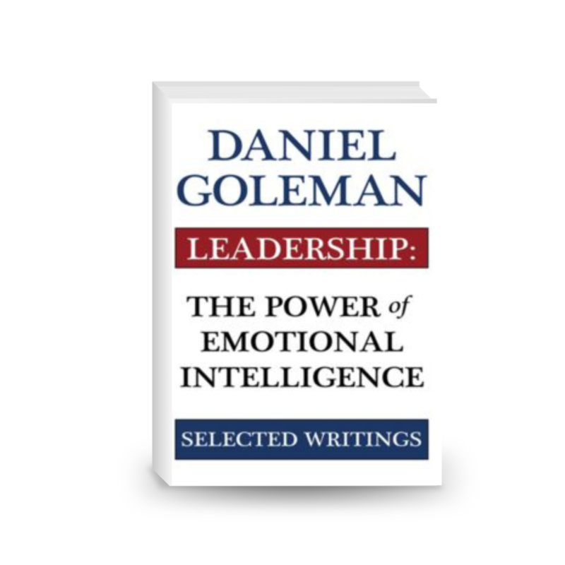 Leadership: The Power of Emotional Intellegence