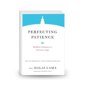 Perfecting Patience: Buddhist Techniques to Overcome Anger (Core Teachings of Dalai Lama Book