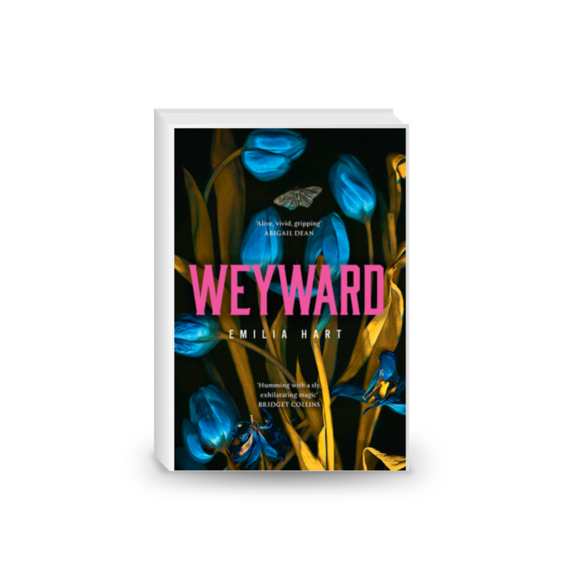 Weyward: A Novel