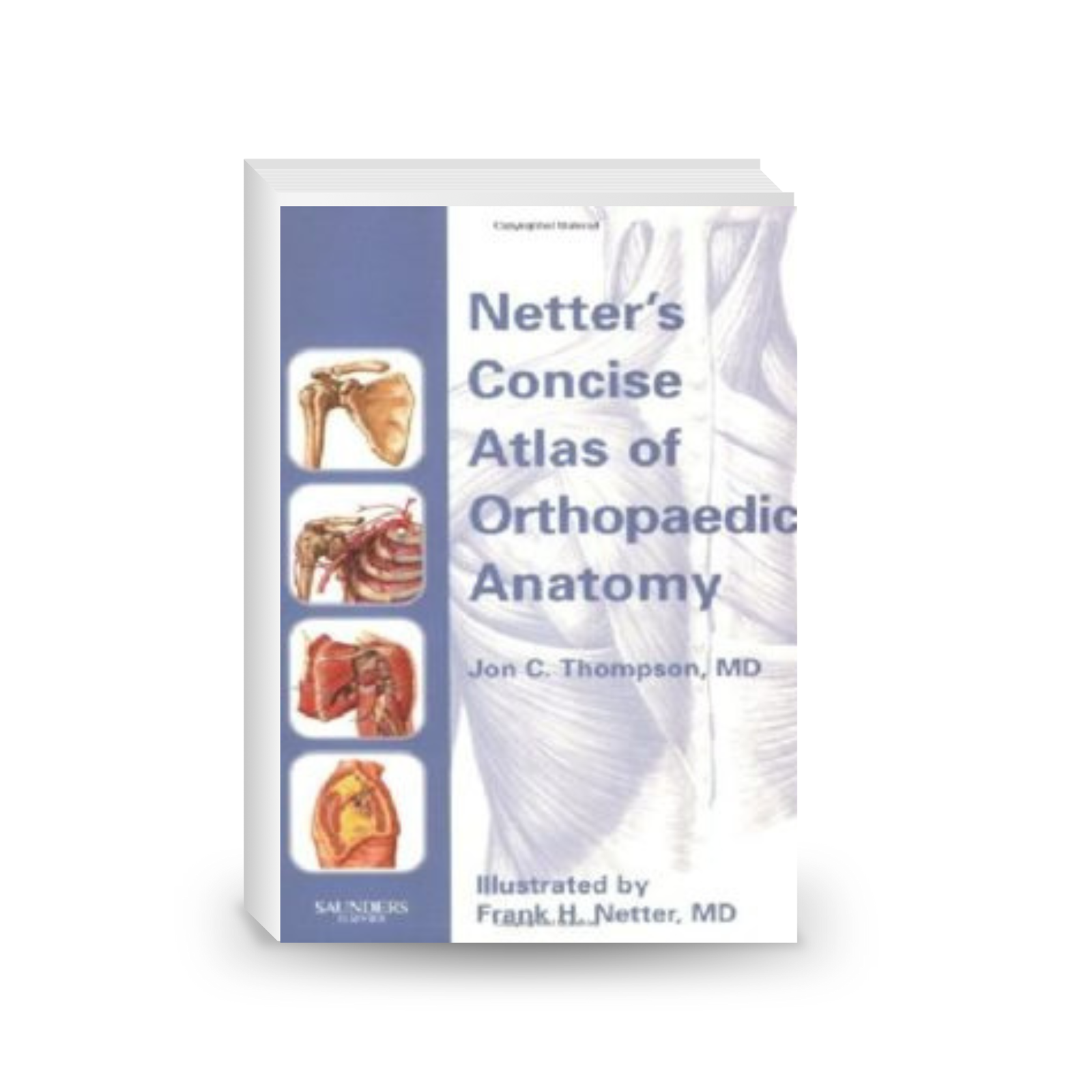 Netter's concise atlas of orthopaedic anatomy