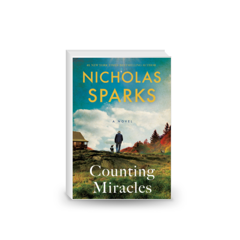 Counting Miracles: A Novel