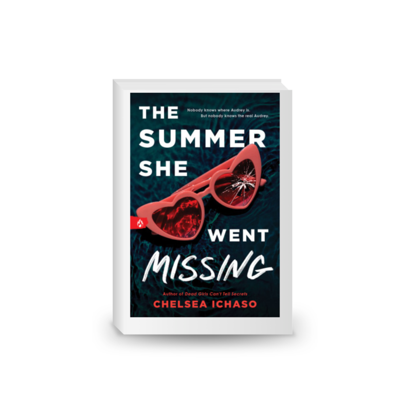 The Summer She Went Missing