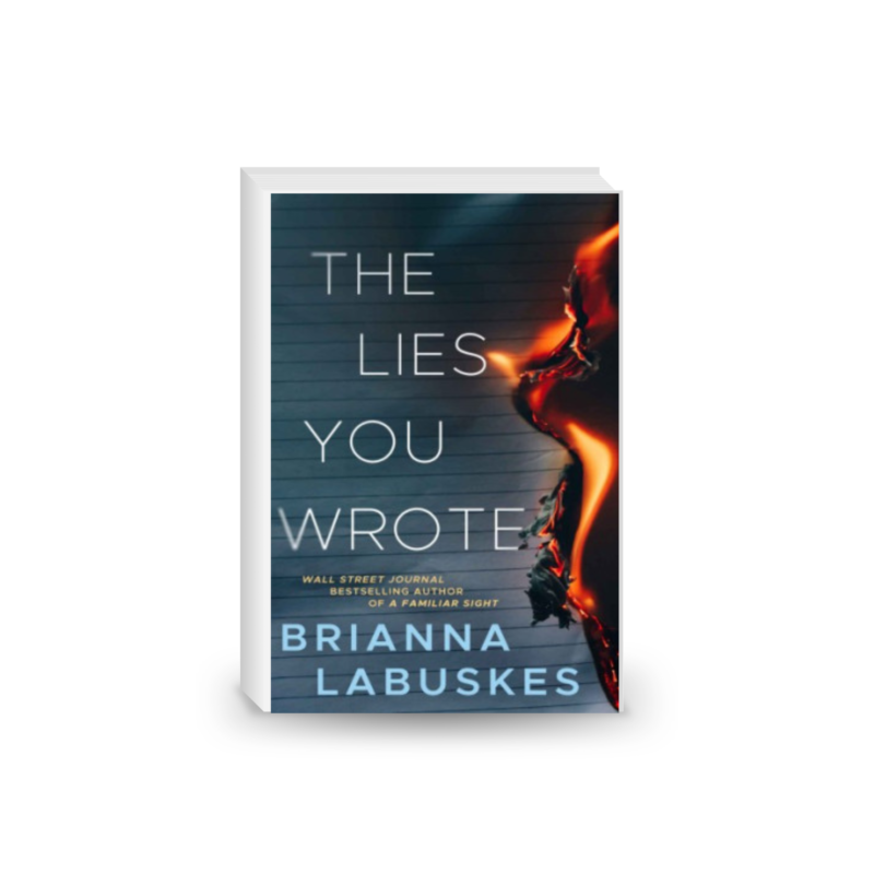 The Lies You Wrote (Raisa Susanto, Band 1)