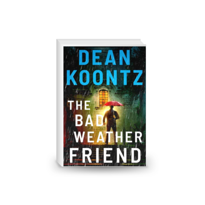 The Bad Weather Friend 2024