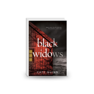 Black Widows: A Domestic Thriller