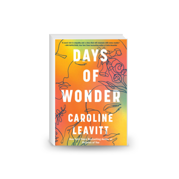 Days of Wonder: A Novel 2024