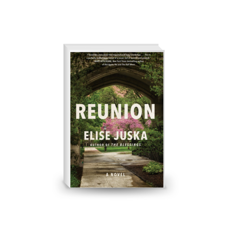 Reunion: A Novel 2024