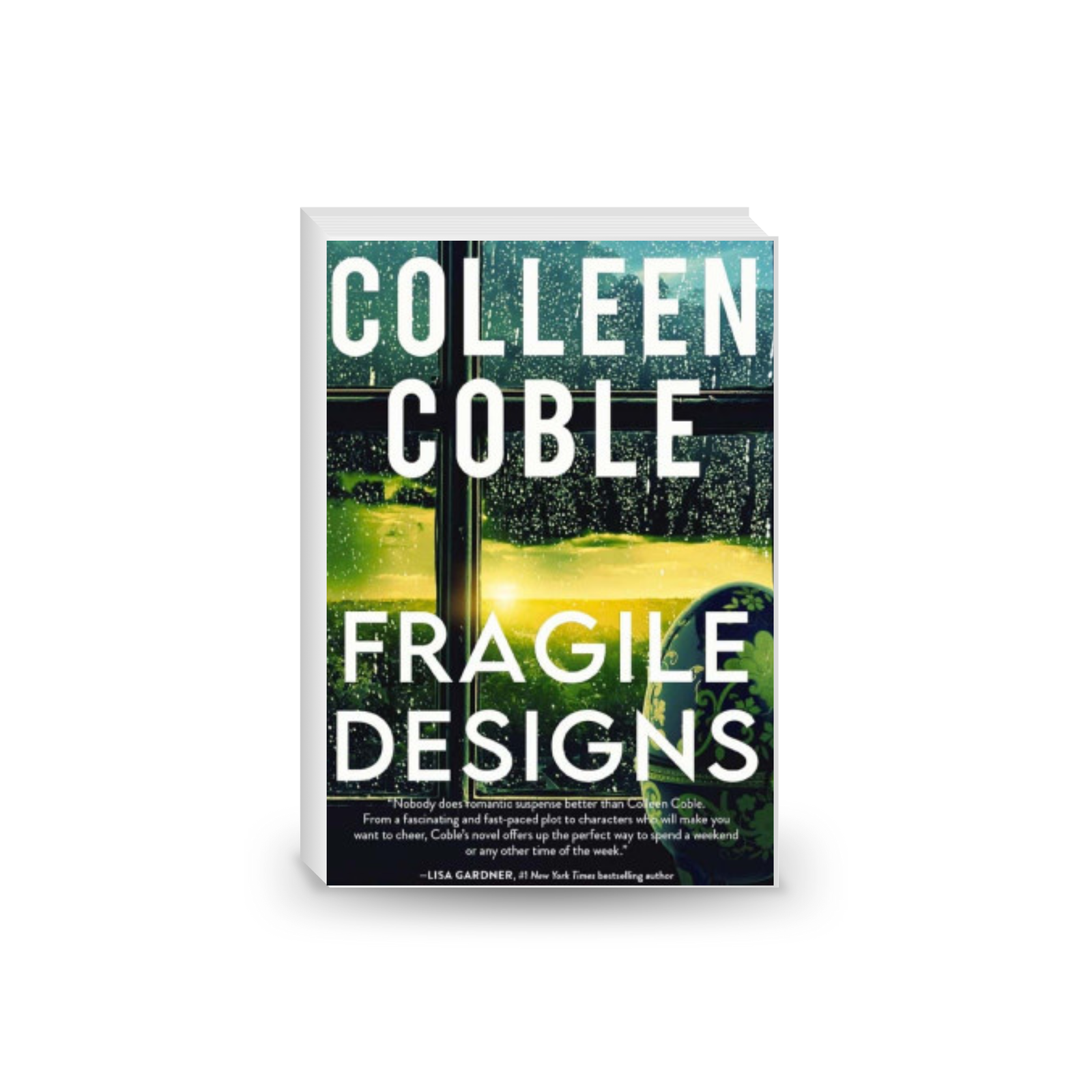 Fragile Designs Hardcover – 2 Jan. 2024