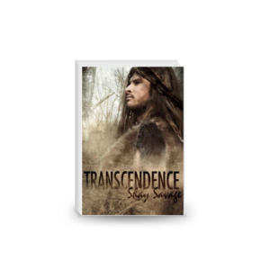 Transcendence Paperback – 14 Feb. 2014