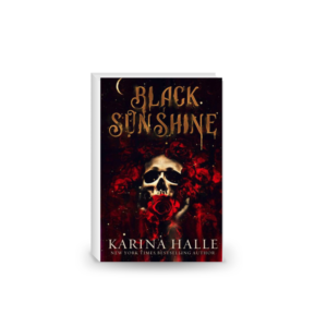 Black Sunshine Paperback – 2 Aug. 2022