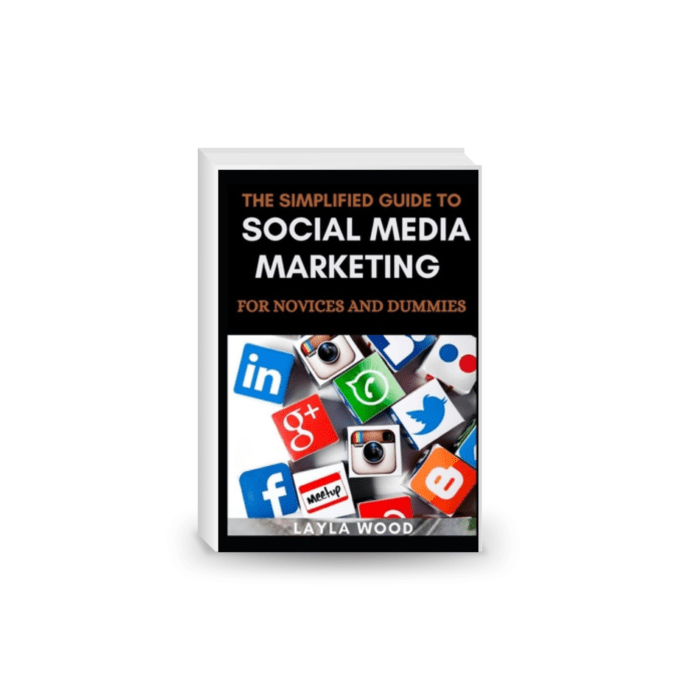 For the TikTok Beginner: Become a Famous Social Media Influencer: Learn the Ins & Outs of TikTok and Turn Income Ideas Into a Money Making Business