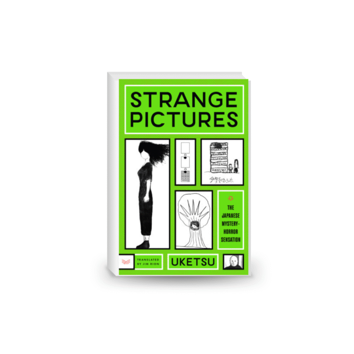 Strange Pictures: A Novel Paperback – January 14, 2025