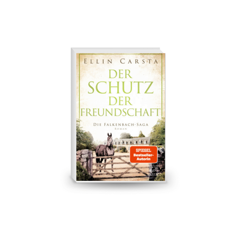 Der Schutz der Freundschaft (Die Falkenbach-Saga)